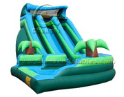 cartoon inflatable water slide